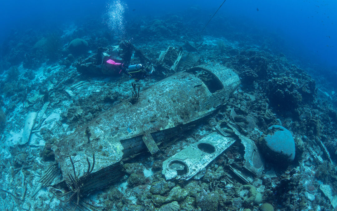 Elvin’s Plane Wreck