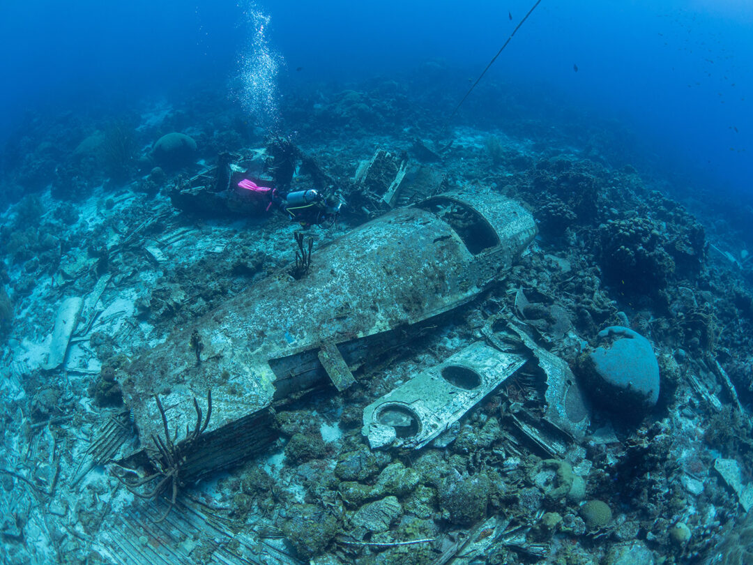 Elvin's Plane Wreck